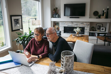 Mature couple looking at computer.