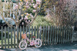 © Kitty Kleyn/Stocksy - Little Pink Bicycle Under Magnolia