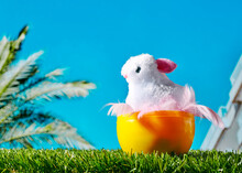 White Easter Rabbit In A Plastic Egg On The Grass
