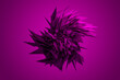 © Marcos Osorio/Stocksy - Abstract fuchsia color background