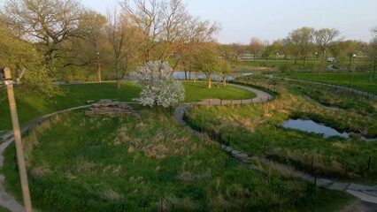 Wall Mural - aerial drone view of a local park in Chicago westside during a beautiful evening. the natural green environment and clear water is great for tourism sightseeing