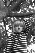 Curious Blond Kid On A Tree House