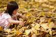 © Pansfun Images/Stocksy - child playing with golden leaves