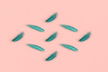 3d Rendering Of Set Of Blue Feathers