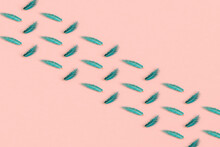 Rows Of Pink Feathers On Pink Background With Copy Space