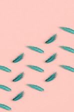 Rows Of Blue Feathers On Pink Background. 3d Render