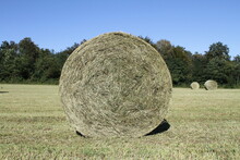 Hay Bale In The Field.