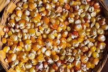 Closeup Of Yellow Corn Grains Or Kernels 