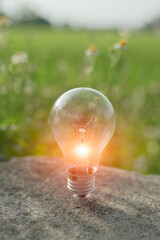 Light bulb Energy saving green nature background