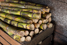 Green Sugar Cane Inside A Wooden Box 