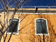 A Venetian Wall With A Shadow Of A Tree
