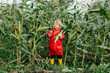 © Sergey Narevskih/Stocksy - Child at corn field