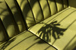 © Shava Cueva/Stocksy - A beautiful light on a green couch with a shadow plant on it