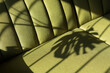 © Shava Cueva/Stocksy - A green couch with the shadow of a monstera plant in it