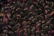 「紫花豆」という日本の北海道産の豆です。