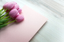 Tulips And Pink Stationery
