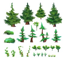 Set Of Pine Forest. Coniferous Spruce Trees. Landscape Cartoon Style. Isolated On White Background. Vector
