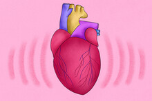 Human Beating Heart Illustration