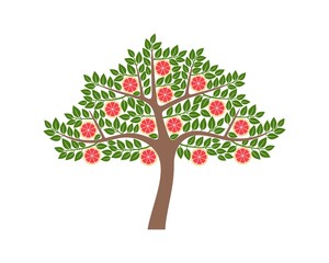 Wall Mural - Grapefruit tree logo. Isolated grapefruit tree on white background