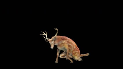 Wall Mural - deer dancing cg fur 3d rendering animal realistic cgi vfx animation loop composition 3d mapping cart