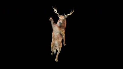 Wall Mural - deer dancing cg fur 3d rendering animal realistic cgi vfx animation loop composition 3d mapping cart