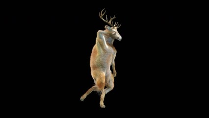Wall Mural - deer dancing cg fur 3d rendering animal realistic cgi vfx animation loop composition 3d mapping cart