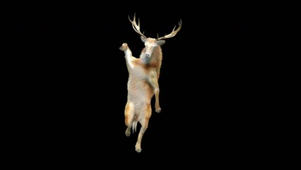 Wall Mural - deer dancing cg fur 3d rendering animal realistic cgi vfx animation loop composition 3d mapping cart