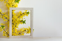 Summer Spring Composition With Wooden Frame And Forsythia Plant. Image With Copy Blank Space.