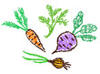 Garden vegetables set. Veggies carrot, potatoes, beet, onion. Hand drawn doodle cartoon funny harvest healthy food. Crayon, pastel chalk or pencil like kids art vector simple style background