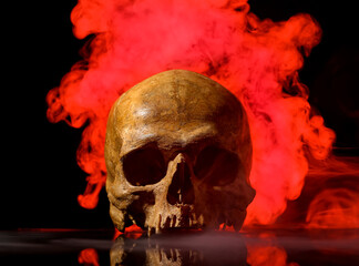 Wall Mural - Human skull and smoke on black background