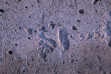 Poster - Texture of concrete with cavities. Construction and repair.