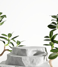 Stone Product Display Podium With Nature Leaves And Branch On White Background. 3D Rendering	
