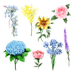 Set of wild flower watercolor style on white background.