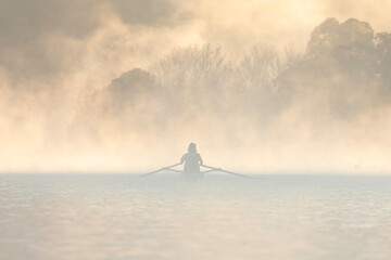 Wall Mural - Rowers in the mist on the lake, Lake Burley Griffin, ACT, May 2022