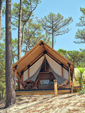 Glamping tent in coniferous woods