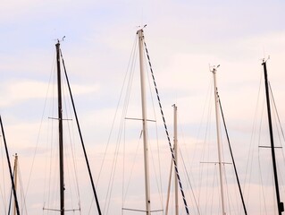 Wall Mural - Silhouette Masts