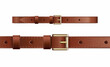 Vector realistic icon. Leather belt with golden buckle.