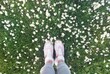 Female legs in white shoes on meadow with a little daisies 