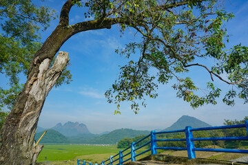 Green landscape view and beautiful cloudy blue sky. Forest landscape vie from above to sky panorama. Spring view for wallpaper or design background. 