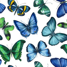 Tropical Butterflies. Watercolor Botanical Illustration. Seamless Pattern. Design For Fashion, Fabric, Textile