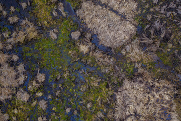 Aerial drone view of small marshland on sunny spring evening day.