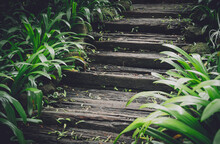 Old Rustic Wooden Stairs In The Garden