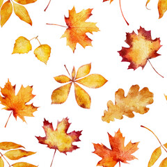 Wall Mural - seamless pattern with watercolor autumn leaves isolated on white background.