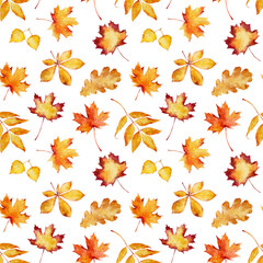 Wall Mural - seamless pattern with watercolor autumn leaves isolated on white background.