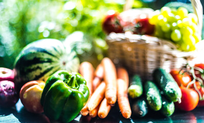 Wall Mural - Variety of fresh organic vegetables and fruits in the garden