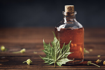 Wall Mural - bottle of maple syrup or healthy tincture and spring maple leaf.