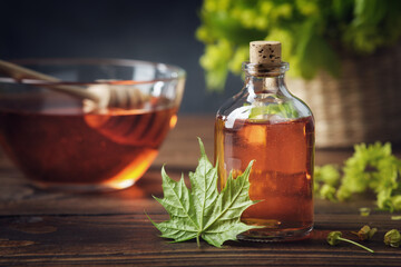 bottle of maple syrup or healthy tincture and spring maple leaf. bowl of maple syrup and wooden dipp