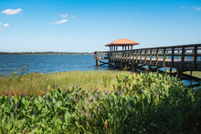 Griffin Park Fishing Pier On Little Lake Harris In Howie In The Hills, Florida