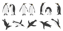 Penguins 2022
