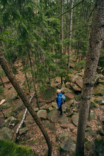 View From Above Of Hiker On Rocks Inside Coniferous Forest